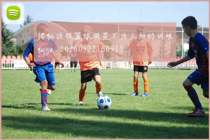 揭秘顶级篮球明星不为人知的训练秘诀_20260522160915
