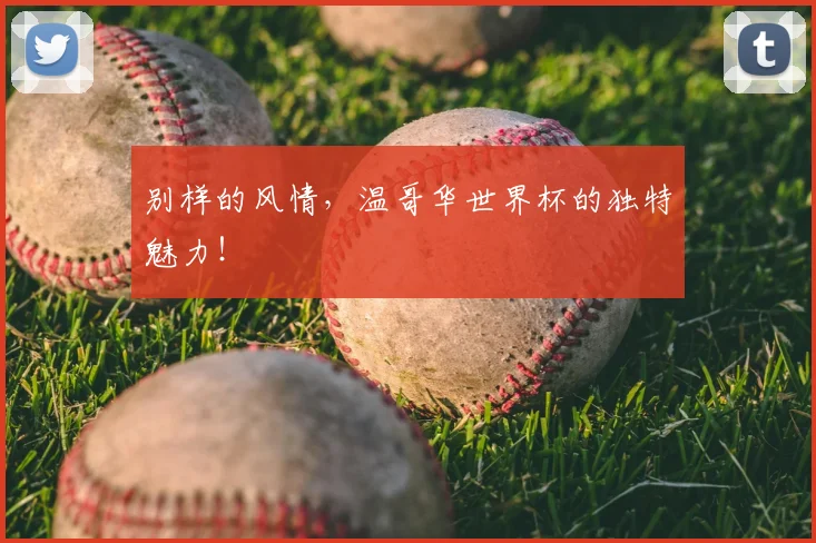 别样的风情，温哥华世界杯的独特魅力！